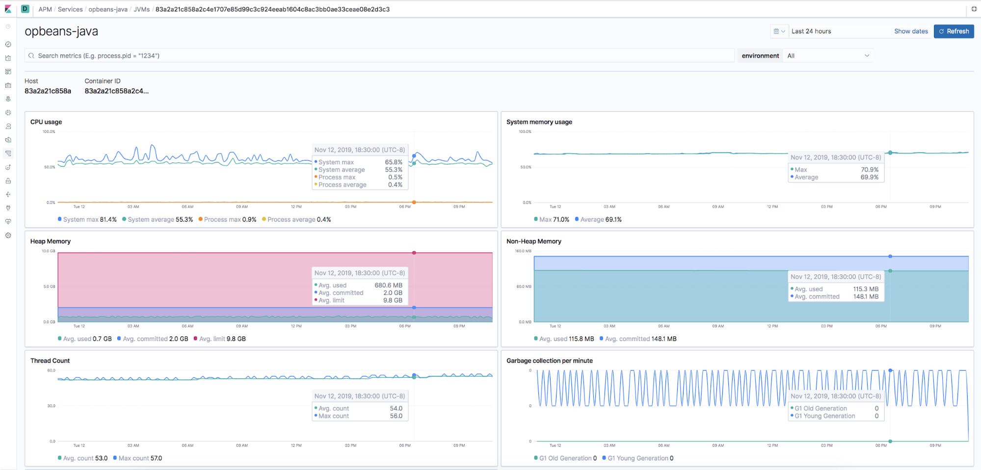 JVM instance level visibility