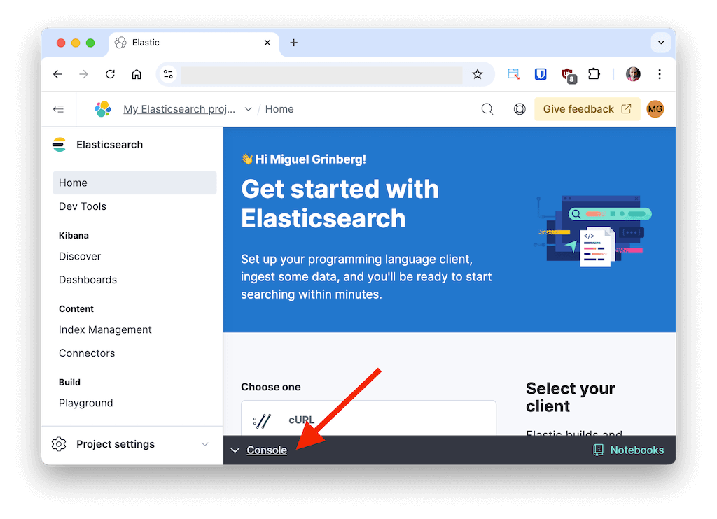 The Kibana Dev Console - Open Console