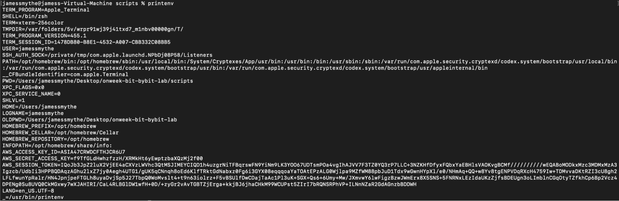 Environment variables output of our AWS user session token after GetSessionToken call