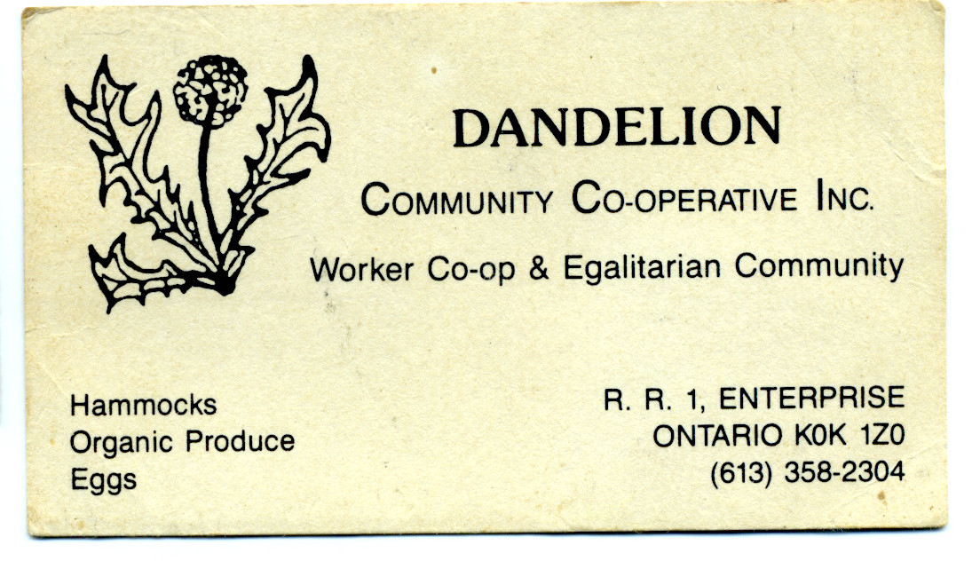 Photo of a Dandelion Community Co-operative business card used to test OCR on compact documents