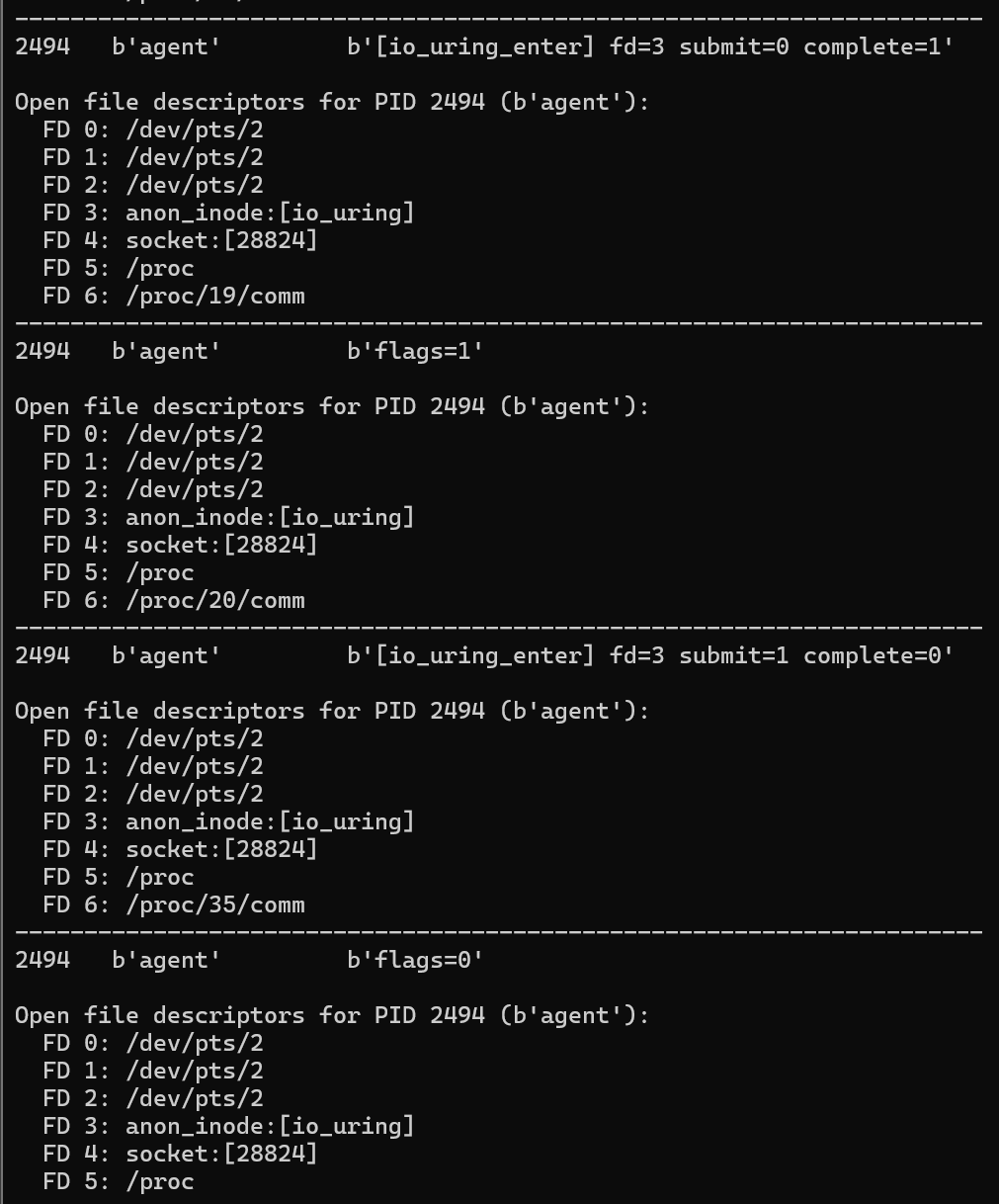 Figure 10: RingReaper ps command