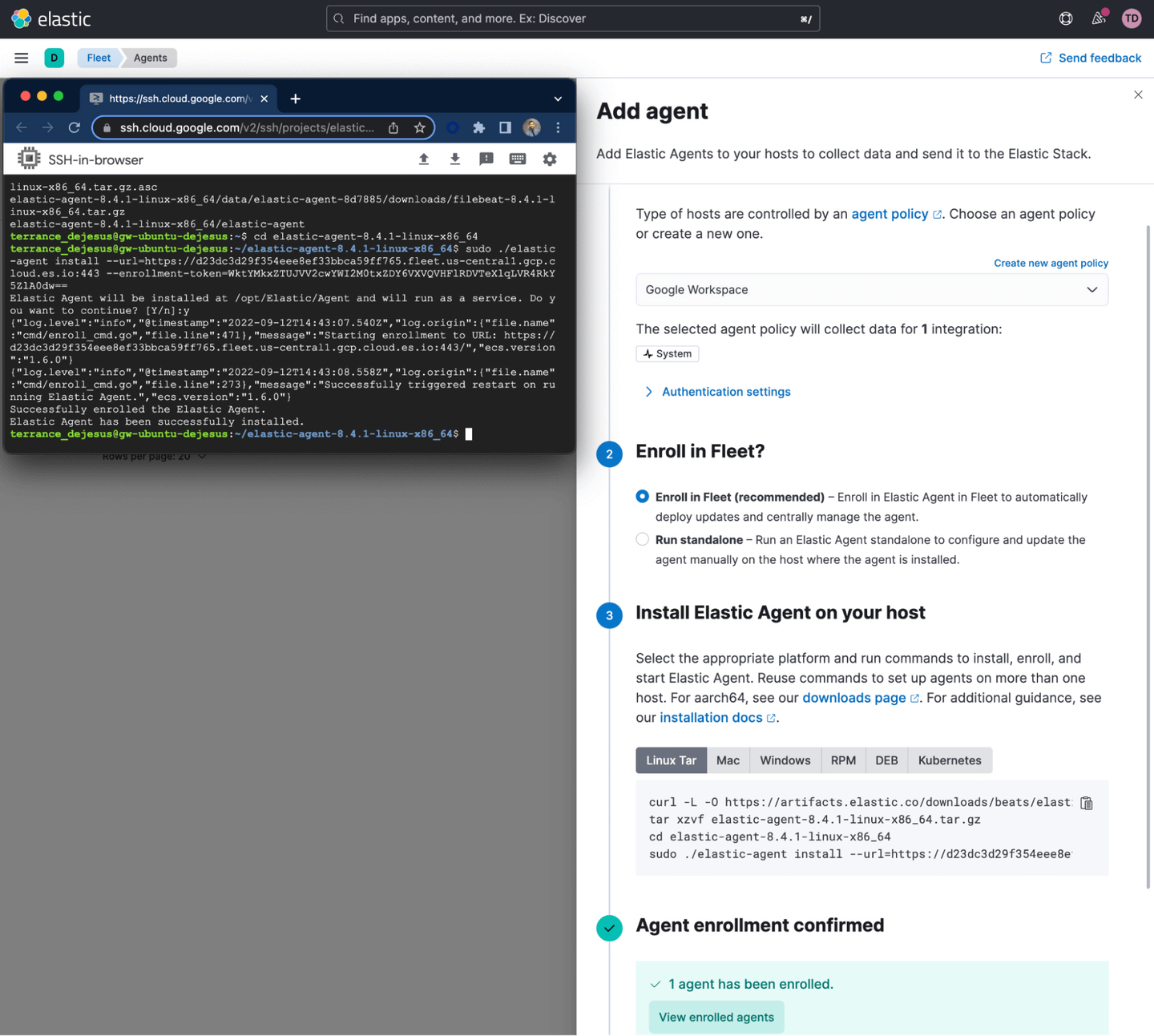 Installed Elastic agent on Linux endpoint and Fleet status page in Elastic Stack