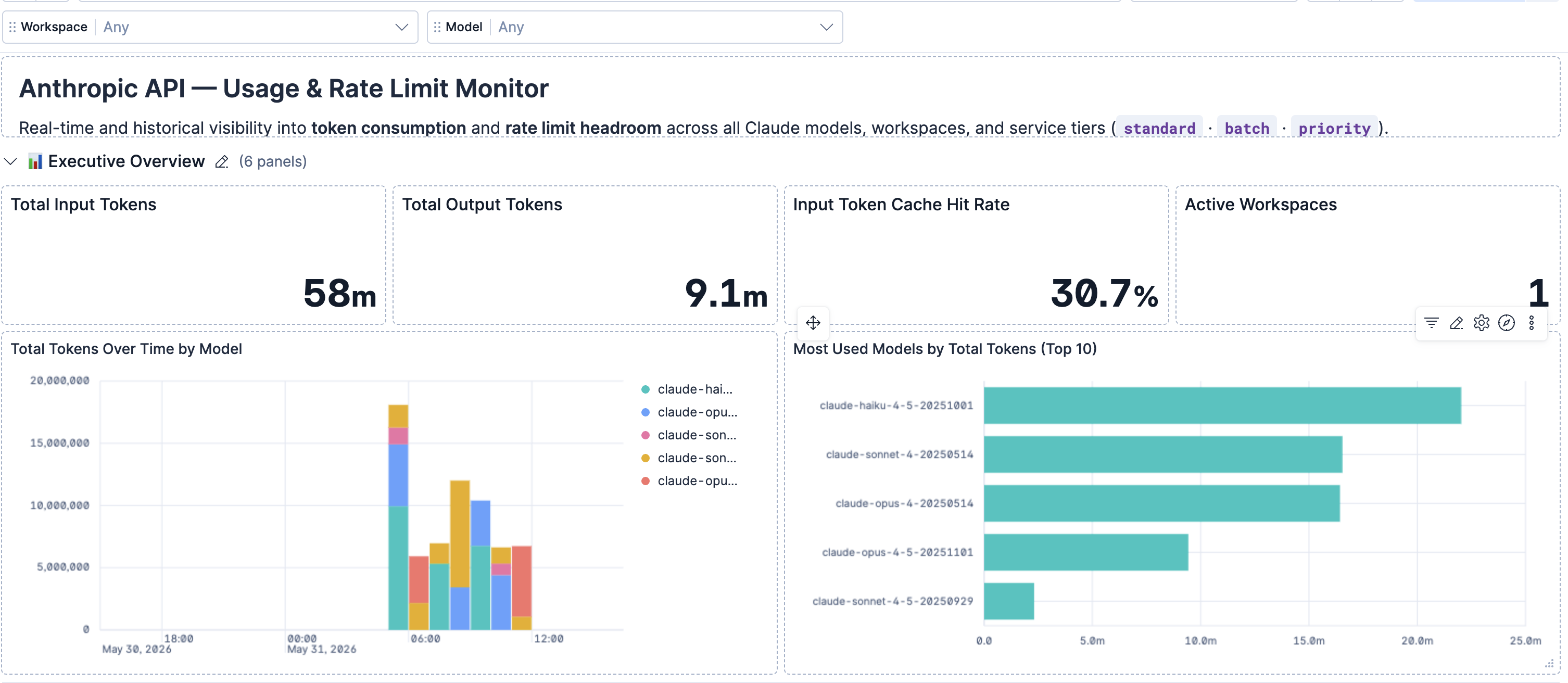 Anthropic Metrics overview dashboard