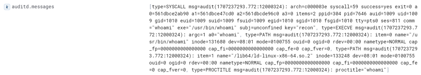 Content of the auditd.messages field