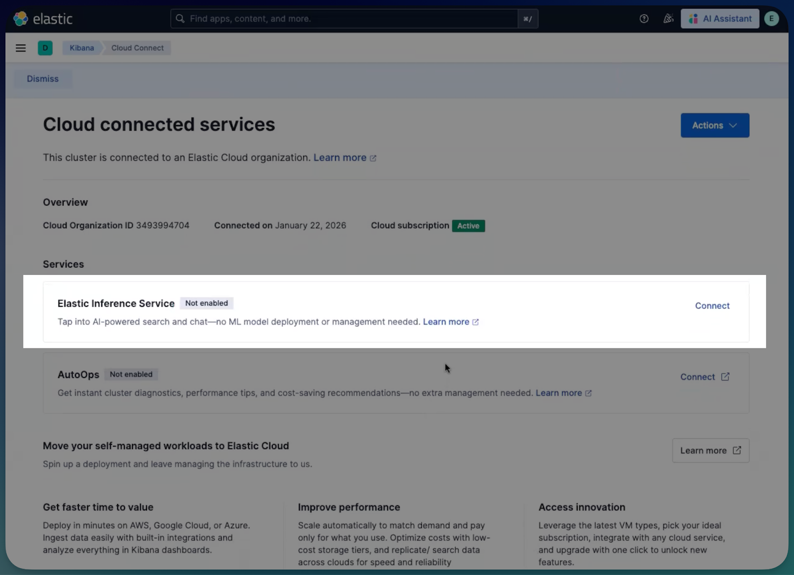Enable Elastic Inference Service (EIS)
