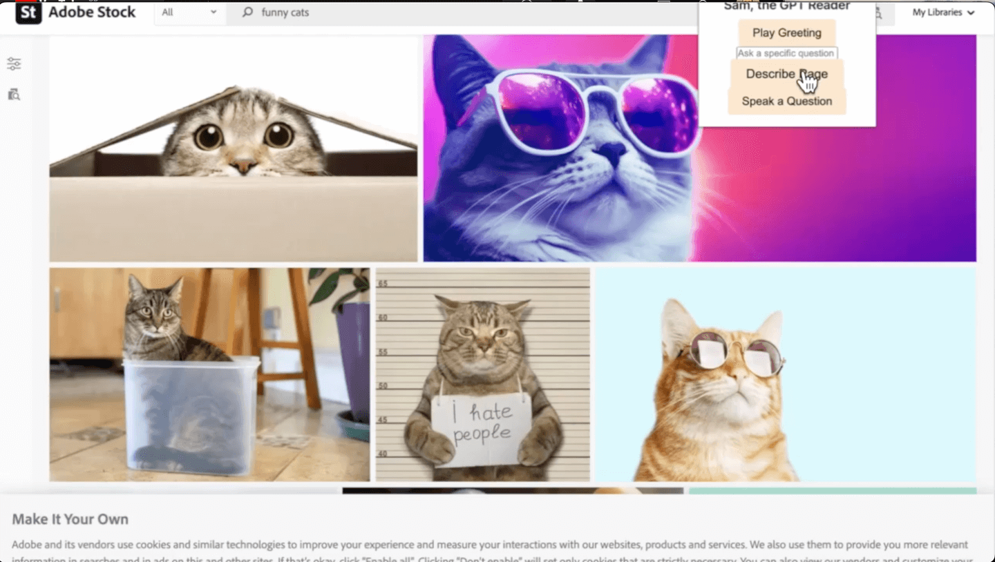 Funny Cats