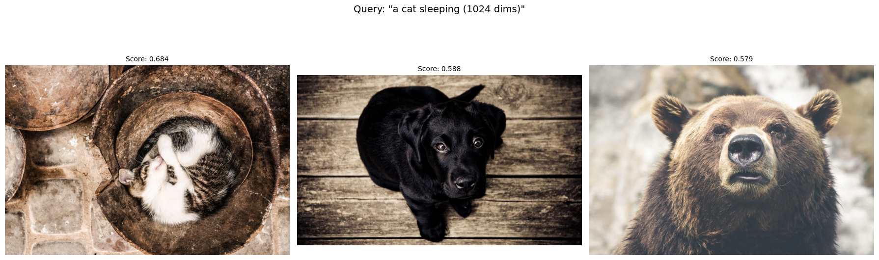 Search results for the query "a cat sleeping" using 1024-dimensional embeddings, showing a sleeping cat, a black puppy, and a brown bear, with scores of 0.684, 0.588, and 0.579.