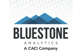 Bluestone Analytics
