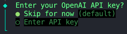 Die OpenAI-Schlüsselabfrage wird vorerst übersprungen.