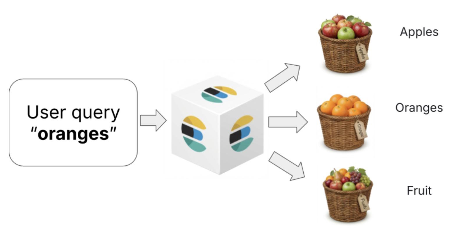 Diagramm, das zeigt, wie eine Abfrage nach „Orangen“ zu verschiedenen Obstkategorien weitergeleitet wird, einschließlich Äpfeln, Orangen und gemischtem Obst.