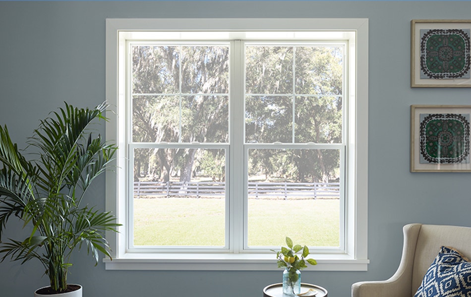 two white single-hung windows on a blue wall with a large potted palm plant