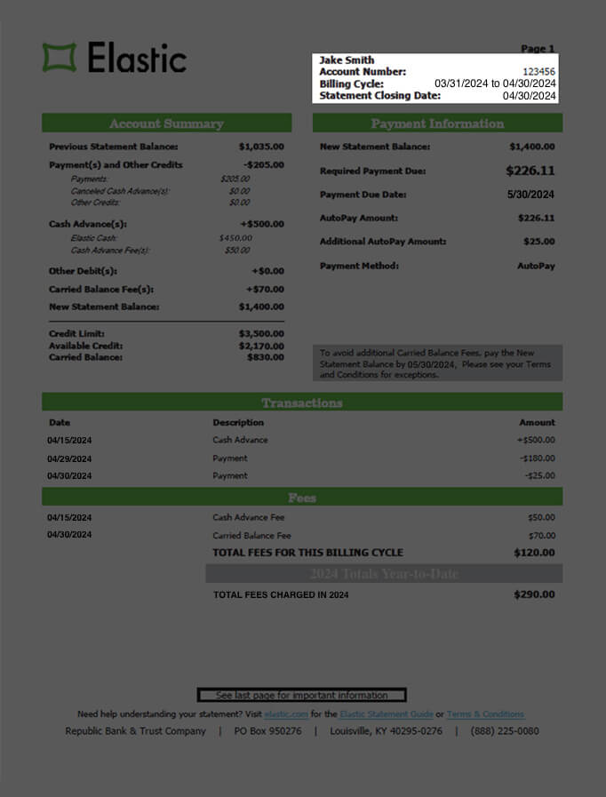 Account Summary Details