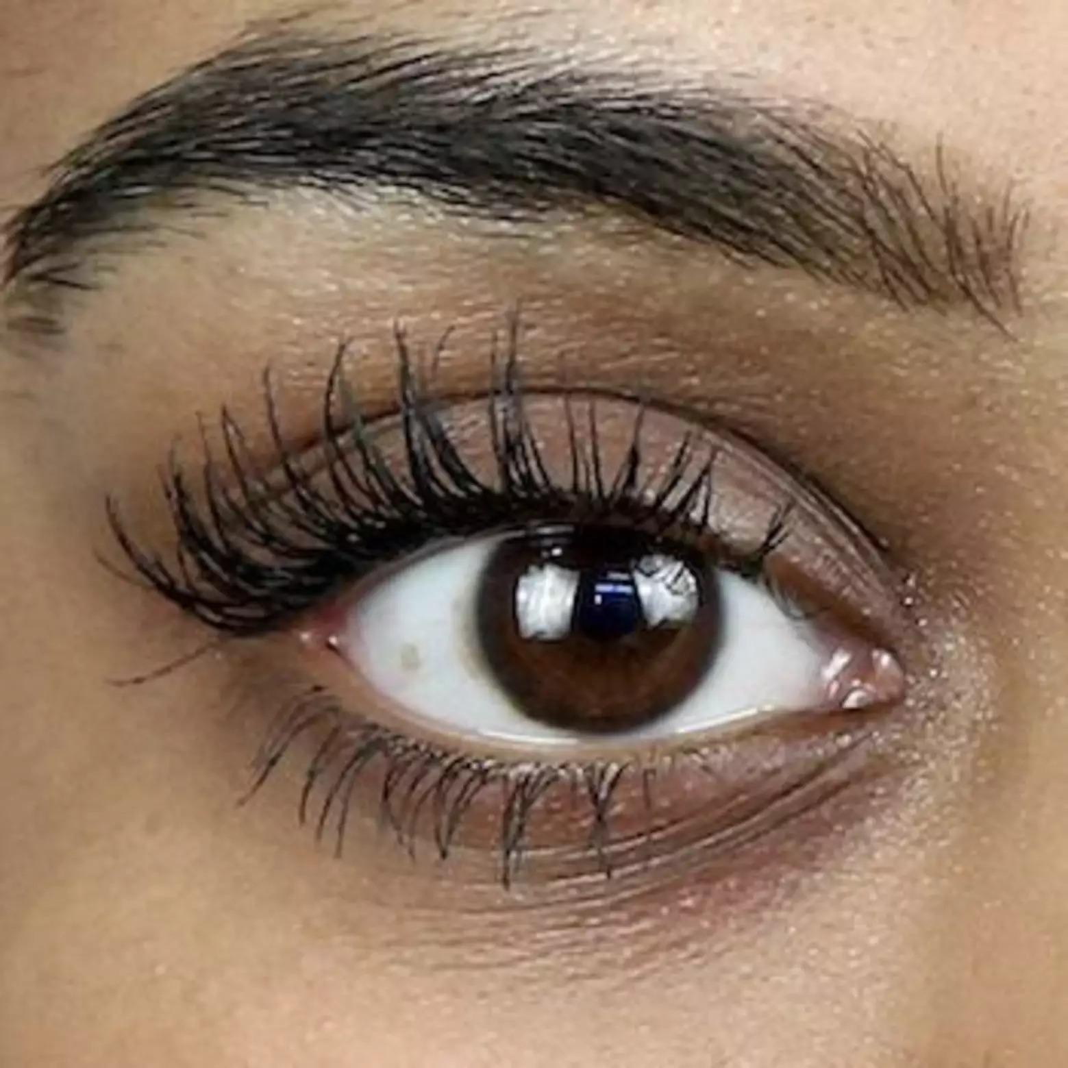 Best mascara for outlet false lash look