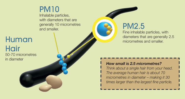 Particulate Matter (PM) chart comparing the size of human hair to PM2.5 1