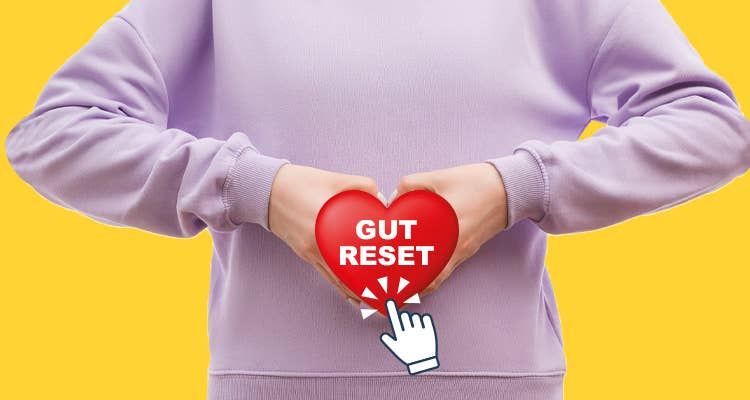 What Is The Gut Microbiome? 