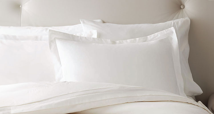 Dreamland-Wellness-Pillows-GWP-750.jpg