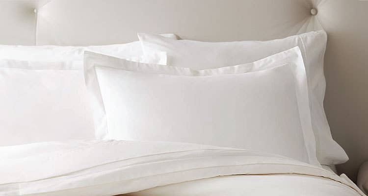 Dreamland GWP 2ea Genova Snowy Soft Pillowcases 