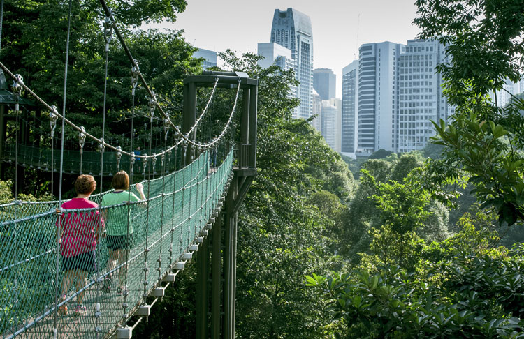 KL_Forest_Eco_Park.jpg