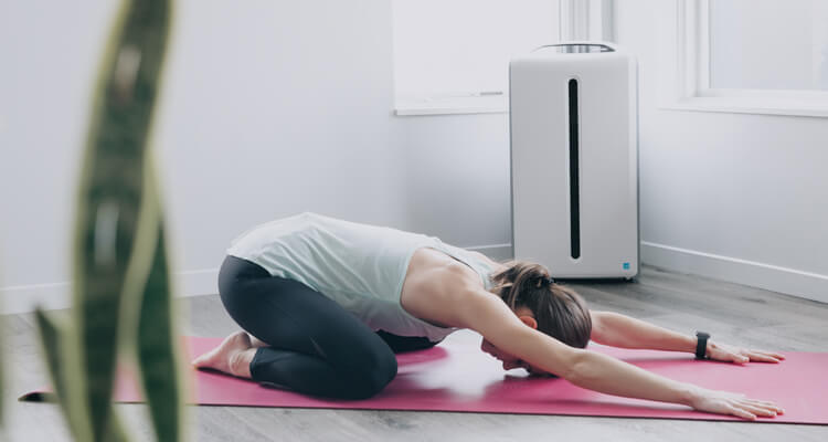 Woman in a yoga pose and air purifier