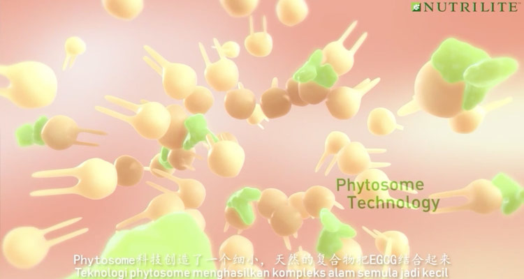 GreenSelect Phytosome technology.jpg