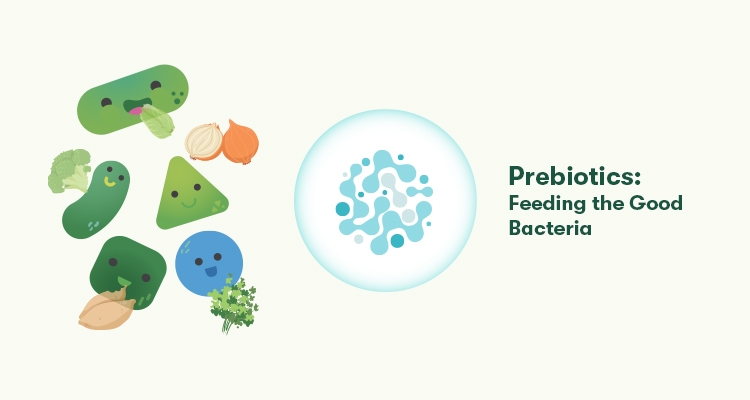 Prebiotics_ Feeding the Good Bacteria-E.jpg