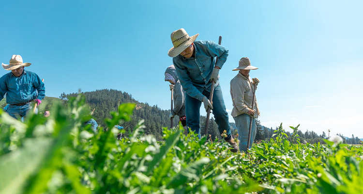 Nutrilite Essence of Farming Practices.jpg