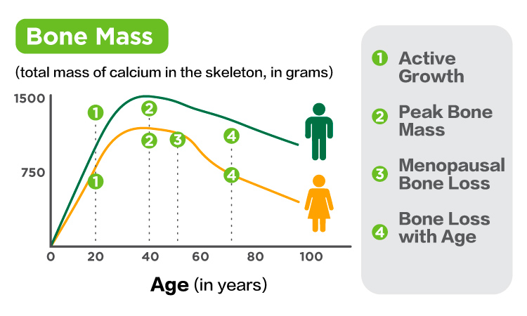 Starting from the age of 30, you begin to lose bone density and muscle mass_eng.jpg