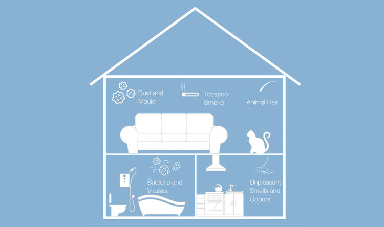 Graphic representation of potential pollutants found within a home