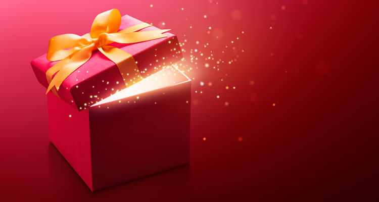 VNLC_2021_Mystery_Gift_Box.jpg