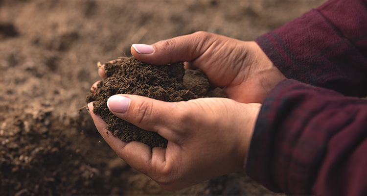 Nutrilite understands the importance of healthy soil.jpg