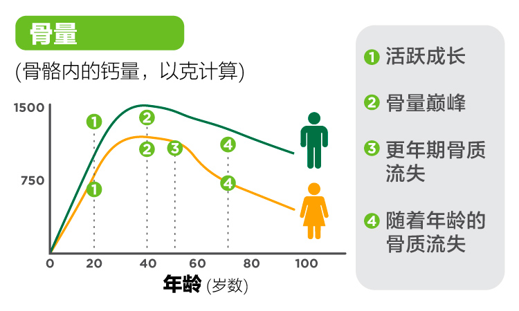Starting from the age of 30, you begin to lose bone density and muscle mass_chi.jpg