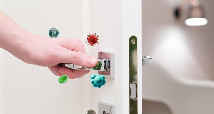 harmful germs and bacteria on doorknobs