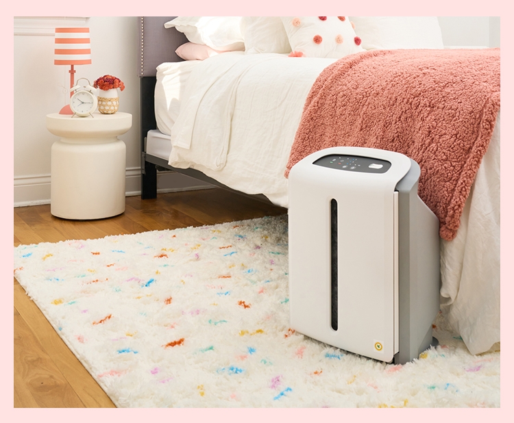 Atmosphere Mini Air Treatment System PWP IMAXX Cordless UV Dust