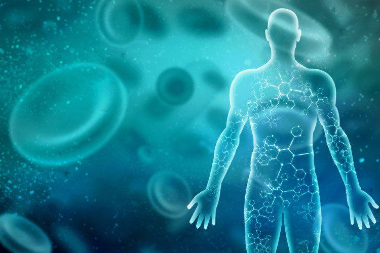 The immune system is a network of cells, tissues and organs