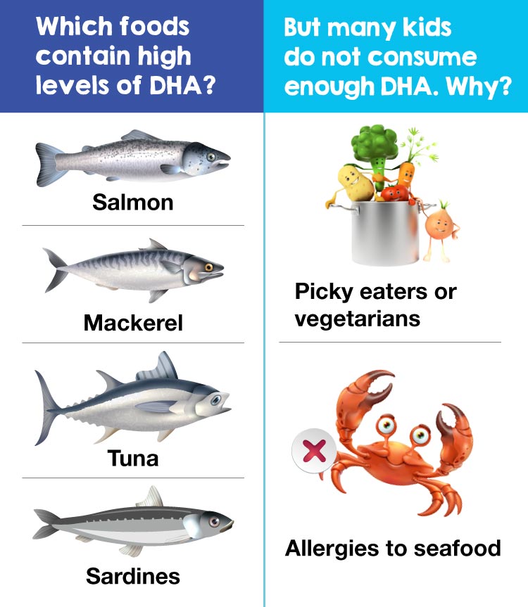 DHA and Brain Development What’s the Connection? AmwayNow