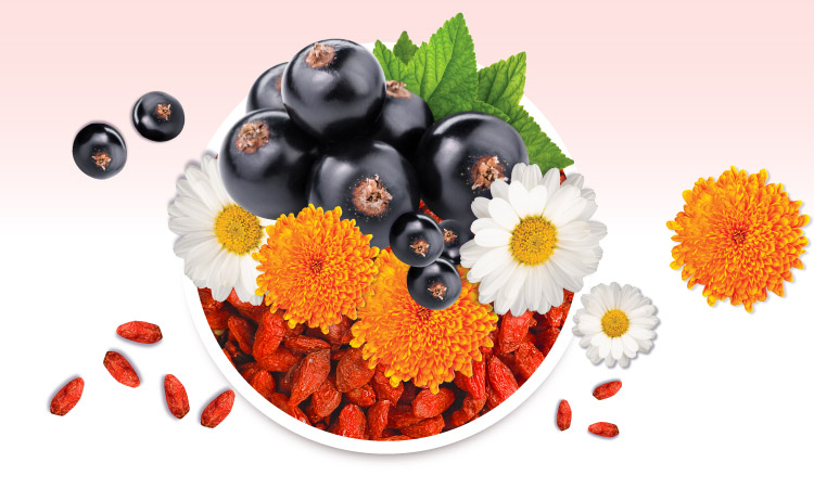 Nutrilite Botanical Beverage Berries with Lutein ingredients.jpg