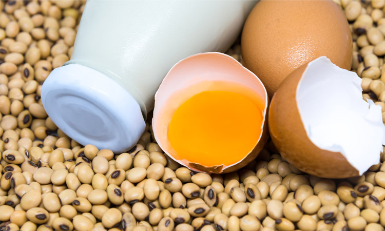 Sources of lecithin include soy and egg yolk.jpg
