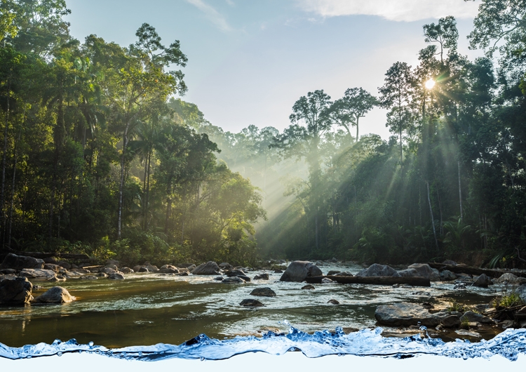 Malaysia is blessed with natural beauty.jpg