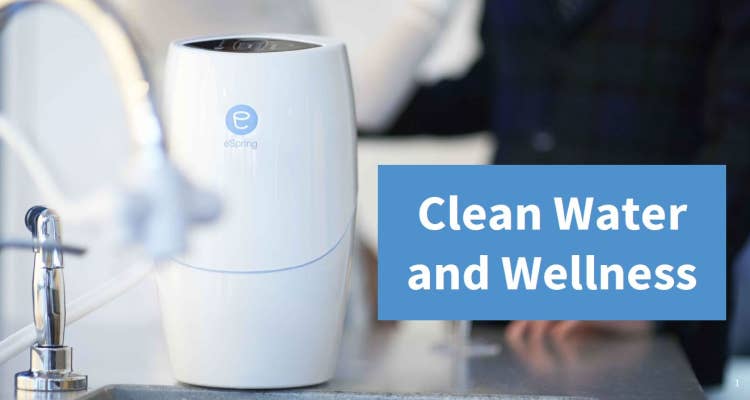 eSpring Training: Clean Water and Wellness 