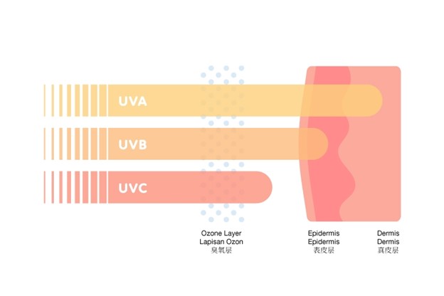 why_sunscreen_is_a_must1.jpg