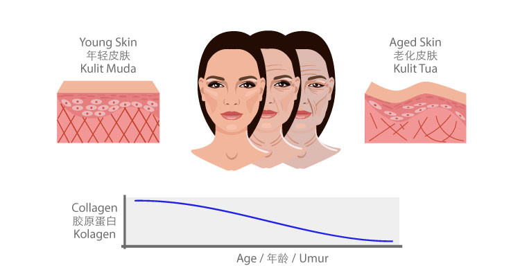 ageing skin