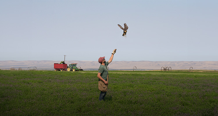 Falconry - Nature’s Guardians at Trout Lake East.jpg