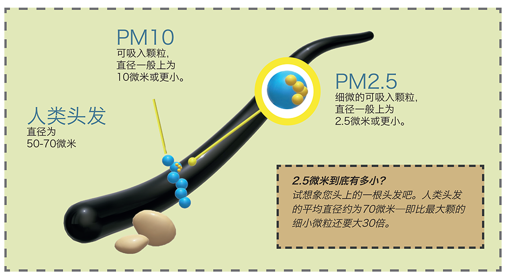 Particulate Matter (PM) chart comparing the size of human hair to PM2.5 2