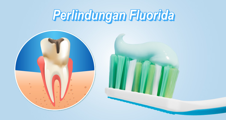 Fluoride-helps-strengthen-tooth-enamel-and-protects-against-tooth-decay-BM..jpg