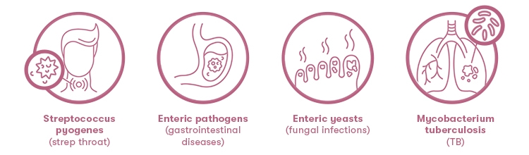 Common bacteria that cause illnesses
