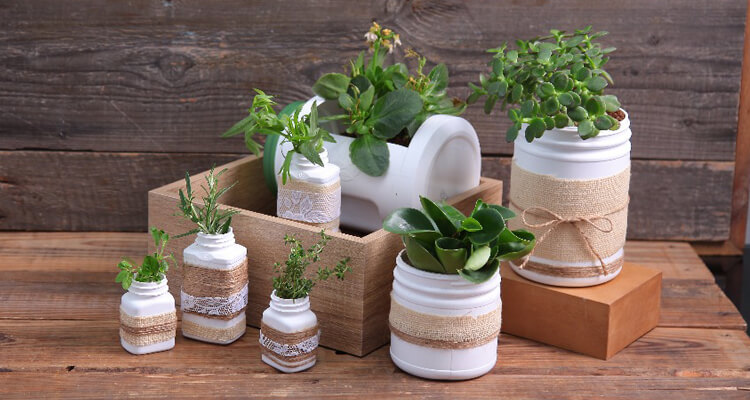 Use containers to grow herbs and vegetables