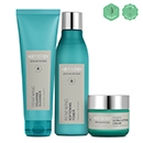 304065_Artistry_Skin_Nutrition_Firming_Set_130x130.jpg