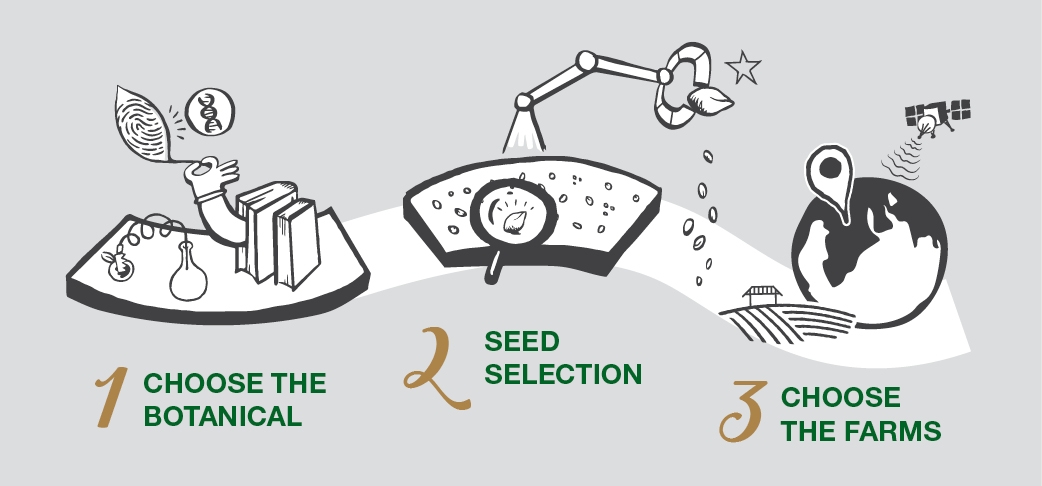 Procedure and step to make a product 1