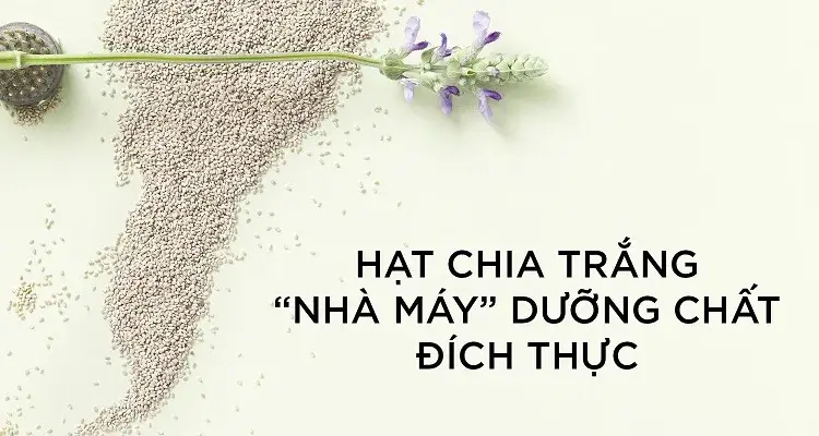 Hạt chia trắng là thành phần có trong các sản phẩm dưỡng da Artistry. Hạt giống siêu việt này giúp đáp ứng 5 nhu cầu dưỡng chất thiết yếu của một làn da khỏe mạnh Làm Sạch - Cân Bằng - Củng Cố - Cấp Ẩm và Bảo Vệ. 